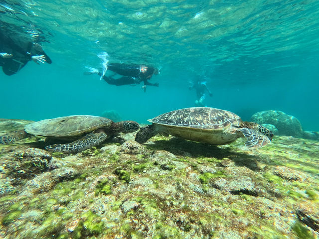 【宮古島】初シュノーケリング！