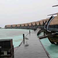 COMO Cocoa Island