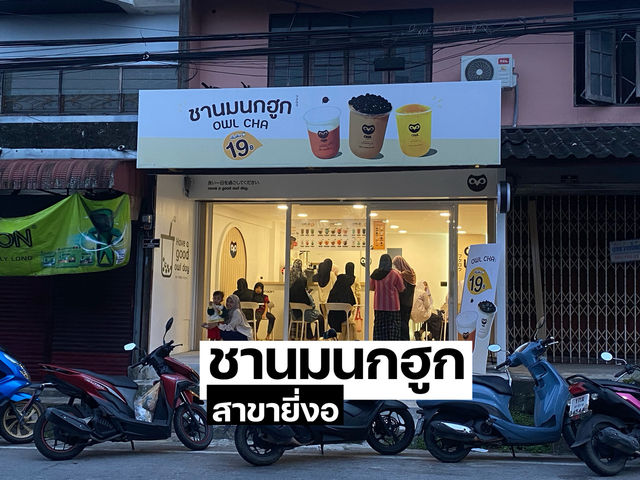 ชานมนกฮูก (owl cha) สาขายี่งอ