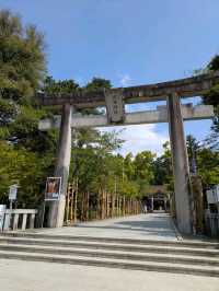 武田神社で心リセット。歴史感じる空気とおみくじ体験！