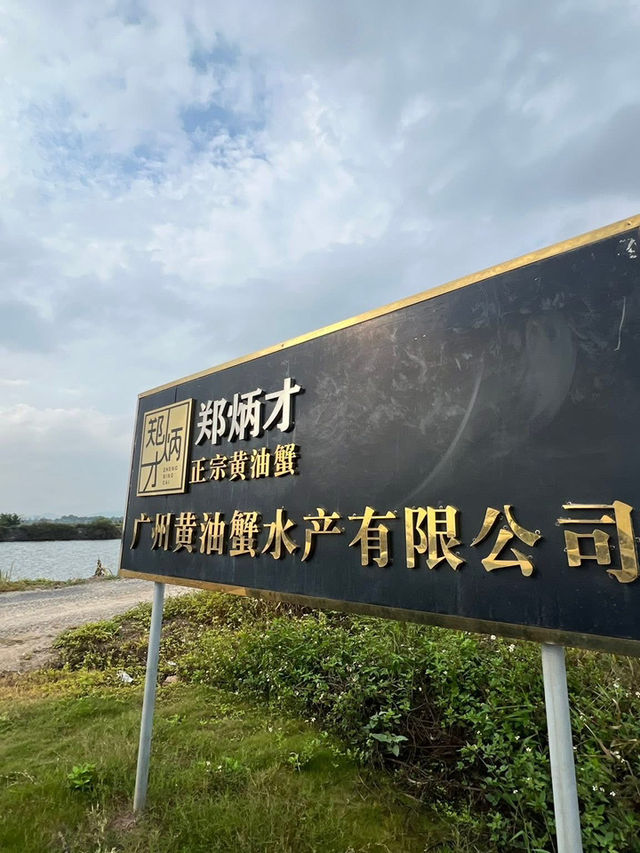 治癒系黃油蟹之旅