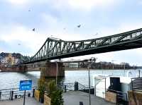 【マイン川を渡る名フォトスポット】鉄の橋（Eiserner Steg）🌉💑