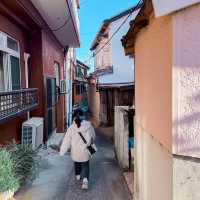 【名古屋から90分】週末リセットにちょうどいい“しらすの島”篠島