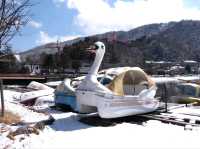 ชมชิวที่ ทะเลสาบชูเซ็นจิโกะ (Lake Chuzenji, 中禅寺湖) 