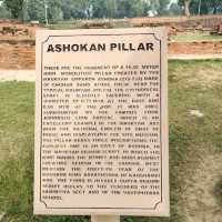 สารนาถ สถานที่ปฐมเทศนา