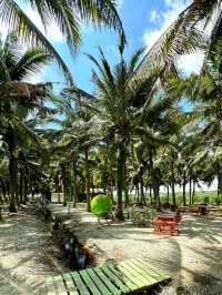 Chilling afternoon at sekinchan coconut farm 