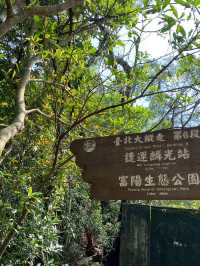 最親近台北的森林步道～富陽及黎和自然生態公園走走