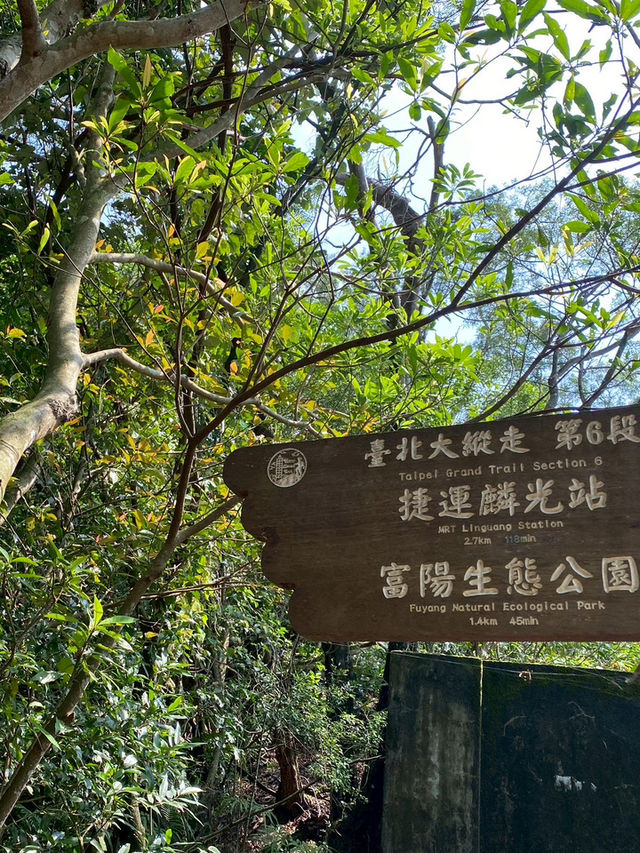 最親近台北的森林步道～富陽及黎和自然生態公園走走