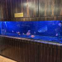 吉隆坡新故鄉酒樓Xin Cuisine Chinese Restaurant