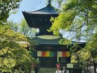 【 春の栃木② 】 あしかがフラワーパークと訪れたい近隣スポット🚶‍♀️