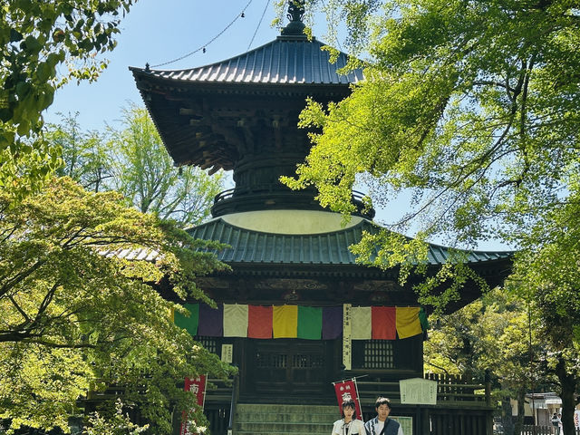 【 春の栃木② 】 あしかがフラワーパークと訪れたい近隣スポット🚶‍♀️