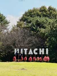 🇯🇵10月必到超好拍的東京近郊國立公園