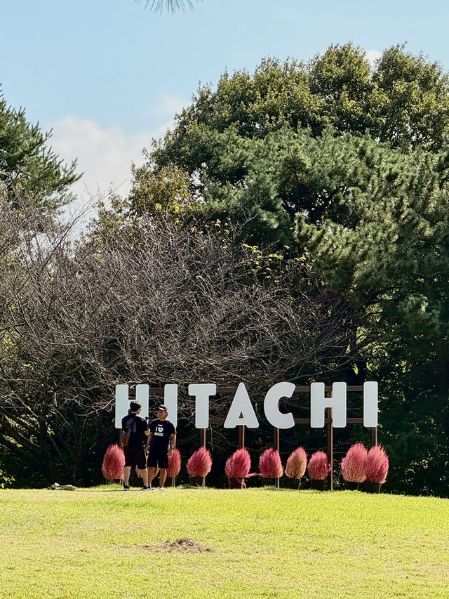 🇯🇵10月必到超好拍的東京近郊國立公園