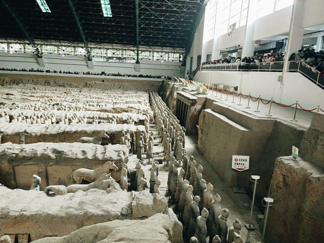 Terra-Cotta Warriors 西安兵馬俑🗿
