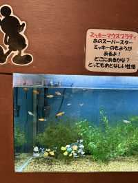 水と自然を満喫できる「道の駅 みなかみ水紀行館」—家族で楽しめる体験型スポット