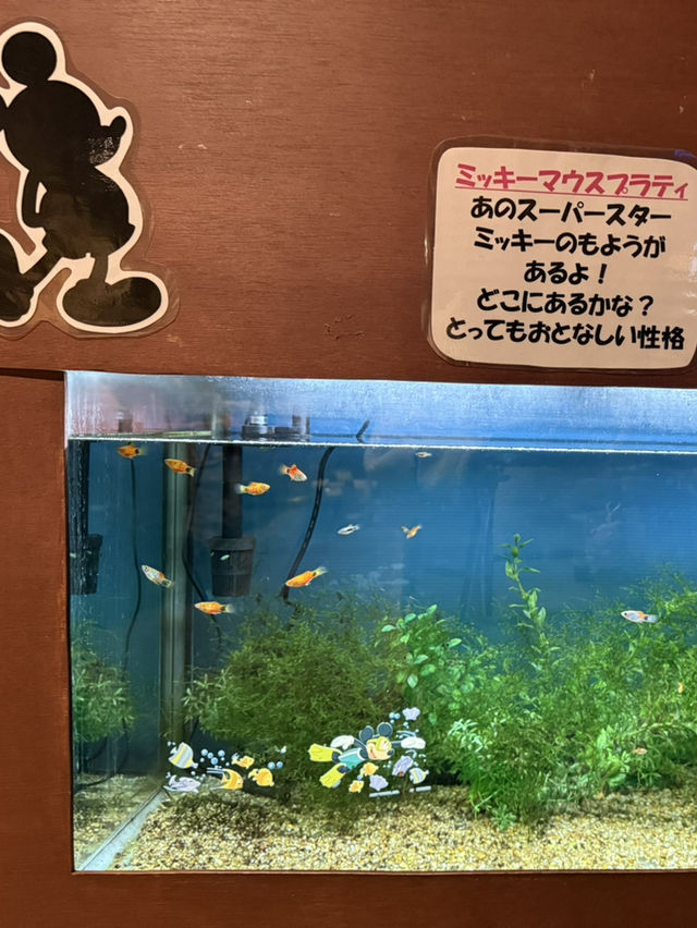 水と自然を満喫できる「道の駅 みなかみ水紀行館」—家族で楽しめる体験型スポット