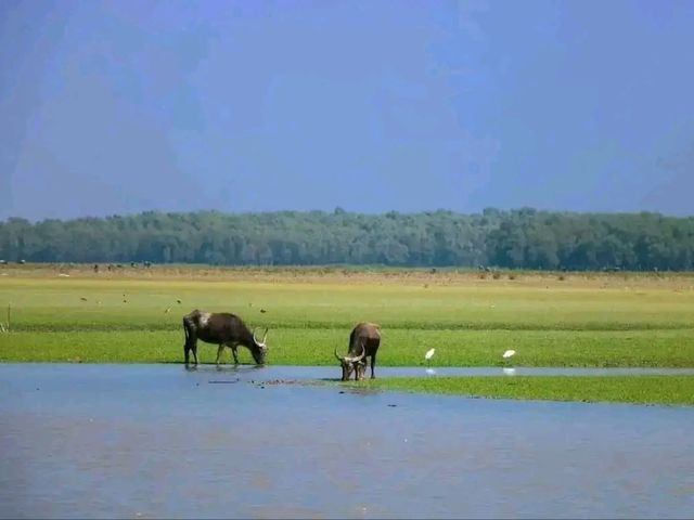The Hidden Paradise of Bangladesh