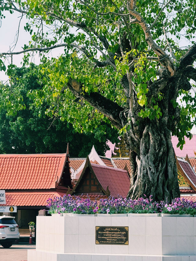 “วัดใหญ่” วัดพระศรีรัตนมหาธาตุวรมหาวิหาร