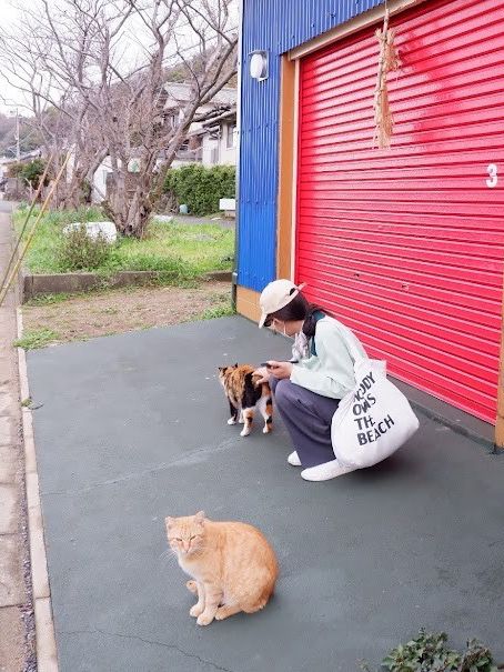 พาเที่ยวเกาะแมว Ainoshima Island