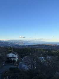 伊豆仙人掌動物園：一起看水豚君浸溫泉！
