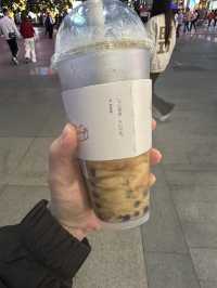 푸바오 만나러 다녀온 워룽 중화 자이언트판다원 선수핑기지 2박 4일 여행