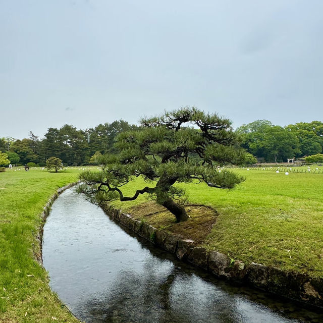 絲原家庭園～美麗的日本庭院