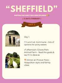 Sheffield for Family Fun & Mini Explorer