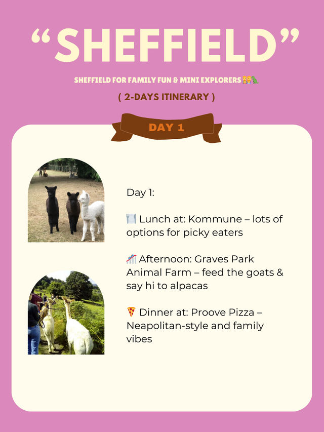 Sheffield for Family Fun & Mini Explorer