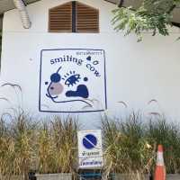 Smiling Cow Cafe