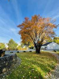 Wenden in Autumn: Where German Countryside Turns into a Golden Canvas