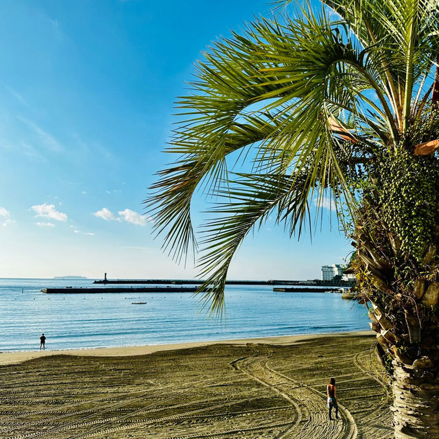 佐伯港🏖️海洋氣息