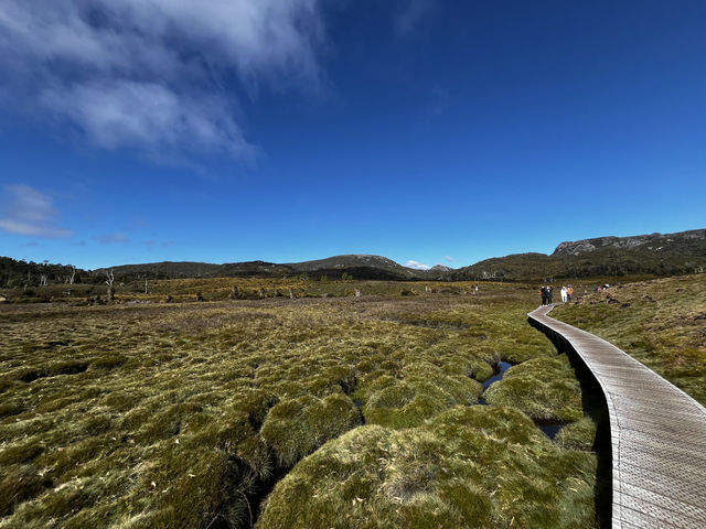 Discover the scenic view & wombats sightings at Cradle Mountain Ronny Creek walk