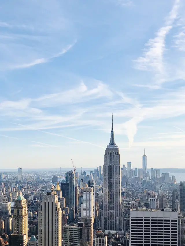 Concrete Jungle: New York City, USA