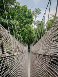 Rainforest Wild Asia – A Hidden Gem for Nature Enthusiasts