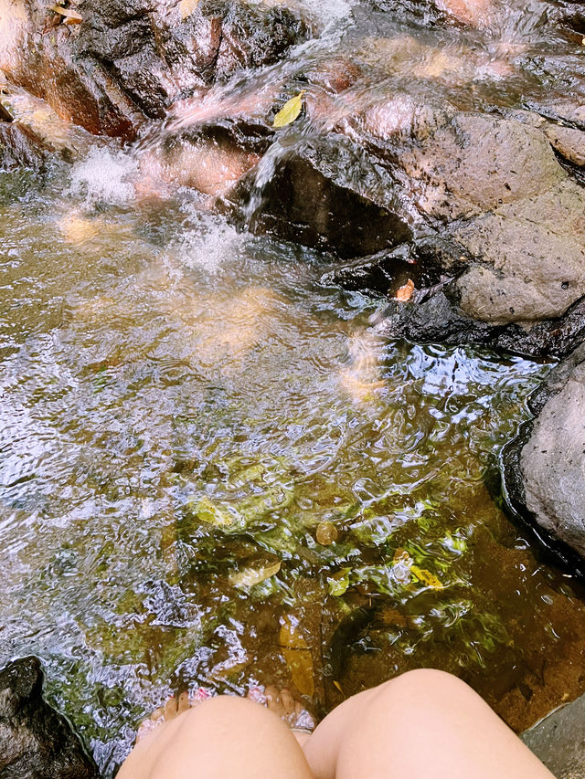 THE HIDDEN FALLS บางพระ ชลบุรี