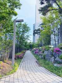 해뜨는 공원 산책 추천드려요!