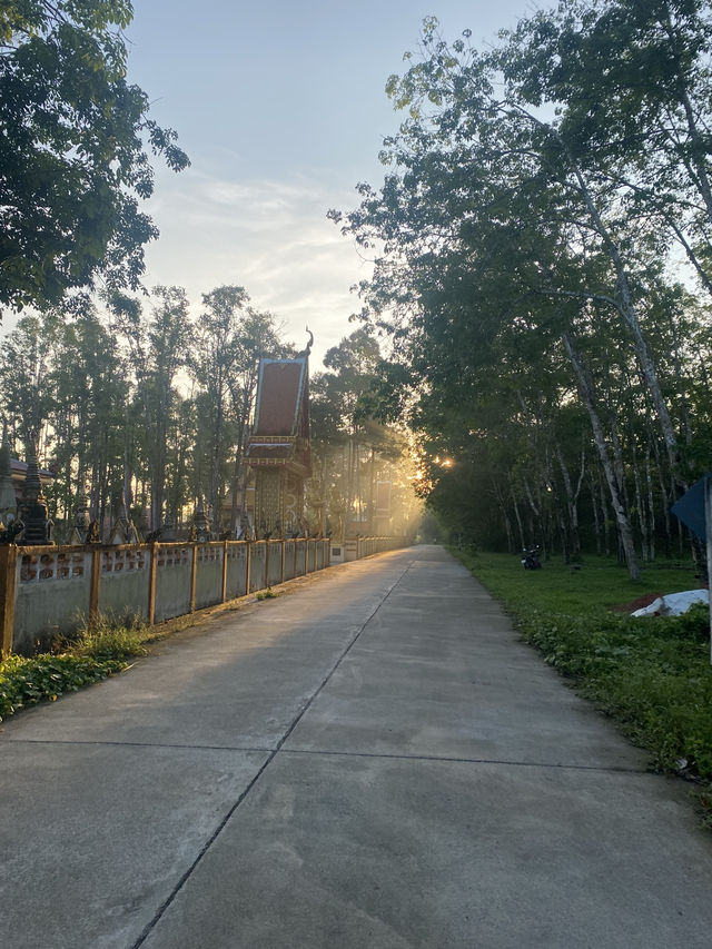 Peace, prayers, and Phatthalung temples