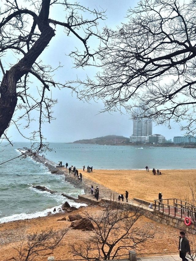칭다오의 역사적 공간 : 화석루🇨🇳