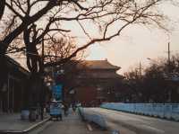 เดินเล่นทั่ว BEIJING ในฤดูใบไม้ผลิ 🌿🌸