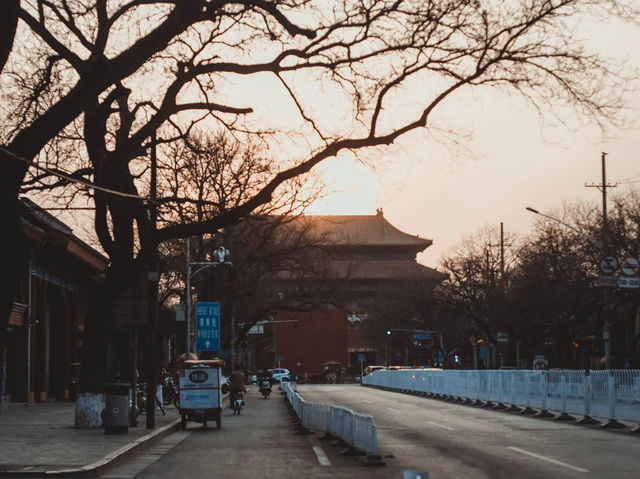เดินเล่นทั่ว BEIJING ในฤดูใบไม้ผลิ 🌿🌸