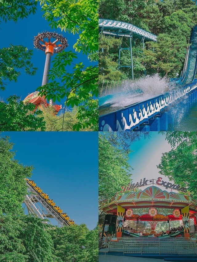 E-WORLD DAEGU
