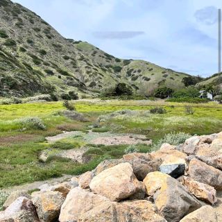 Channel Islands National Park – CA