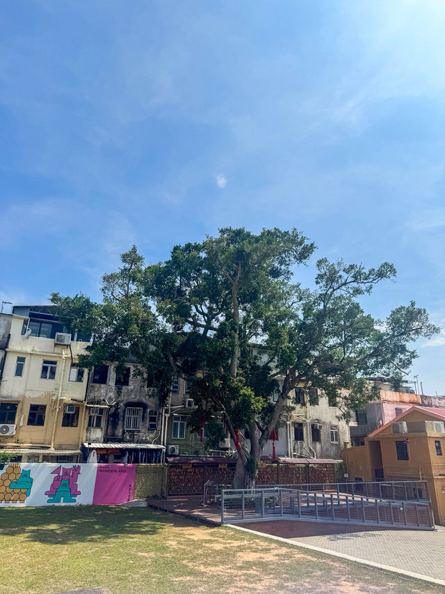 活化後的長洲戰前戲院｜發展成多元文創園區