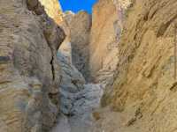 Death Valley Wildflowers – Death Valley, CA