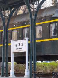 🌸 Harbin’s Most Beautiful Subway Station is Back — Now Departing for Spring!