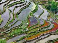  Honghe Hani Rice Terraces sparkle