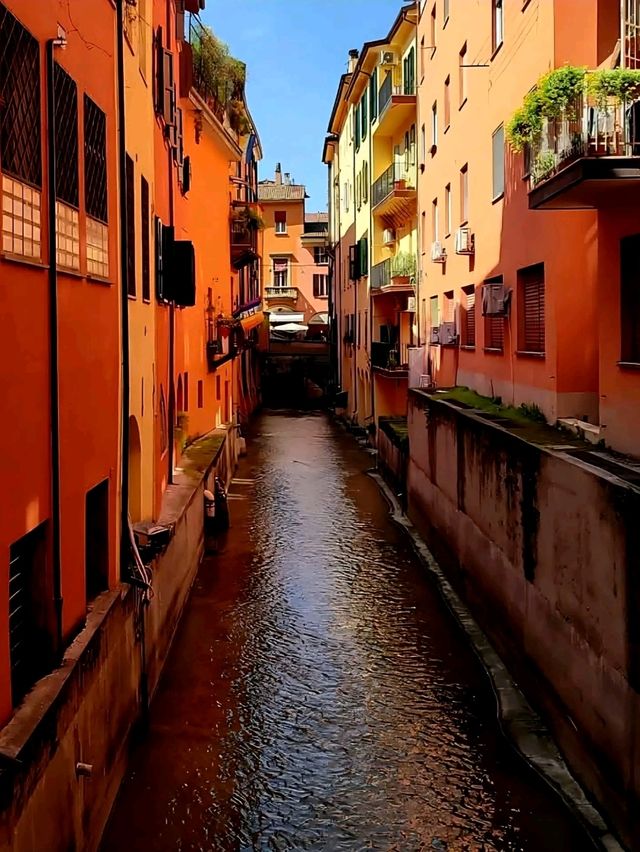 Bologna – Italy’s Underrated Gem of Food, Knowledge & Soul