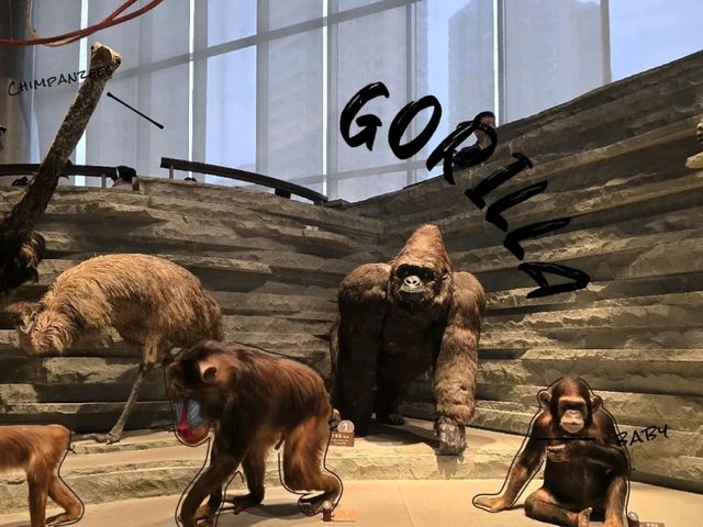 Shanghai Natural History Museum