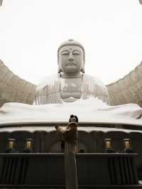 🇯🇵 Big Buddha Energy: One Peaceful Day in Hokkaido