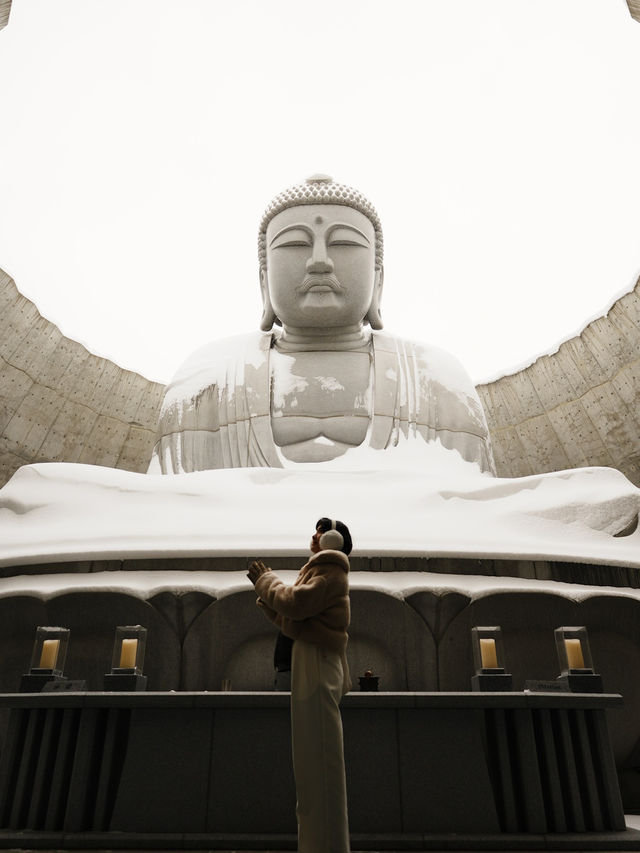 🇯🇵 Big Buddha Energy: One Peaceful Day in Hokkaido